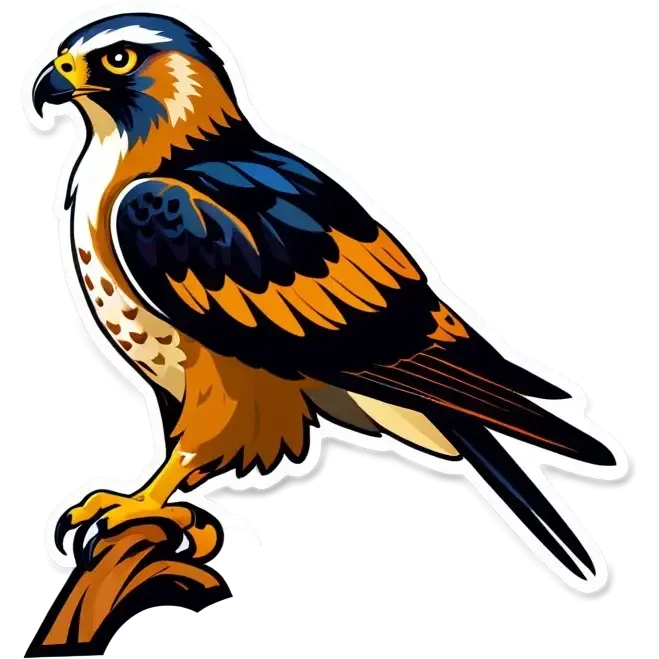 Hawk tuah  emoji