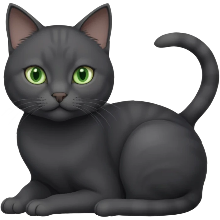 beautiful female solid dark grey cat with green eyes, white toes/paws and white patch on her chest playing emoji