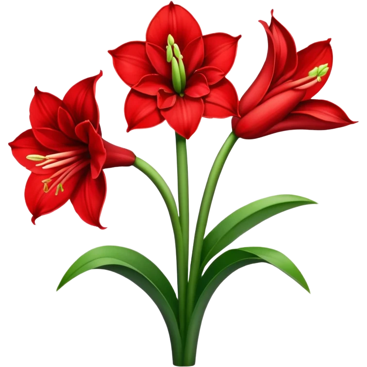 amaryllis emoji