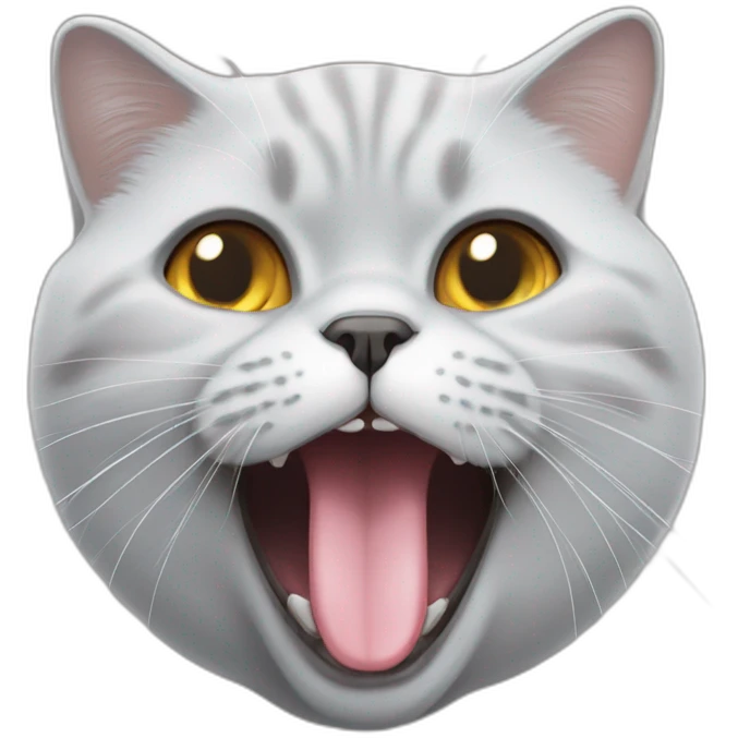 British shorthair face sticks out tongue emoji