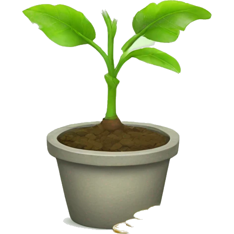 plant with coins  emoji