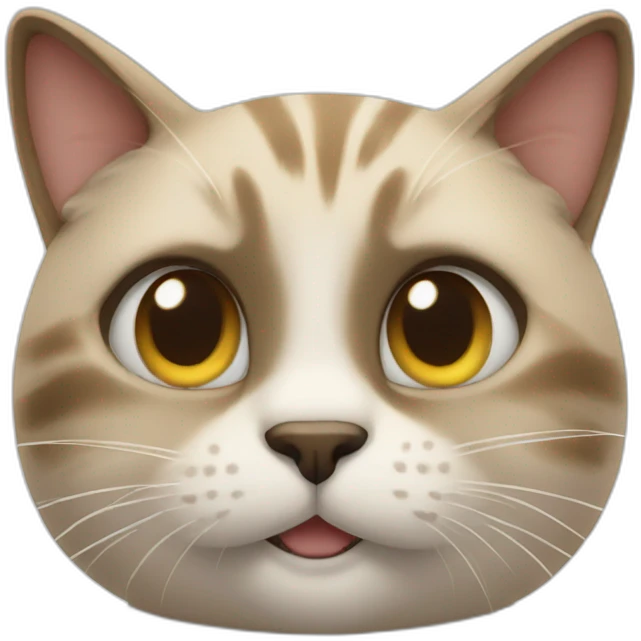 Cat thumbs up  emoji