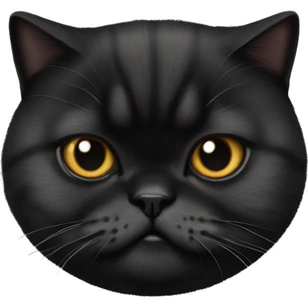 Black black black  exotic shorthair cat emoji