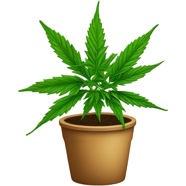 Potted Indica emoji