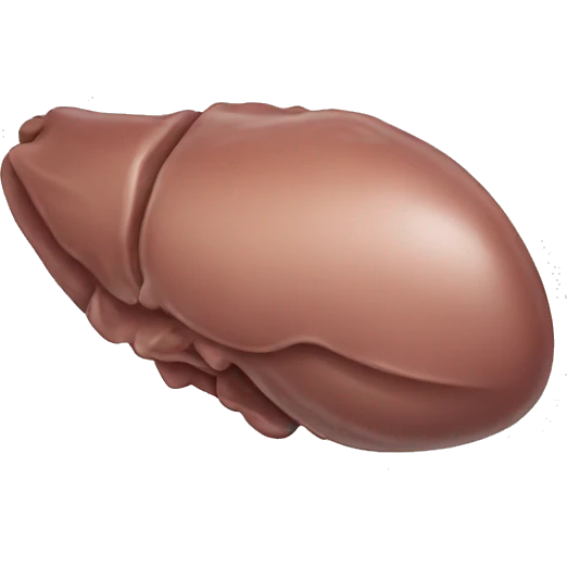 liver on white background emoji