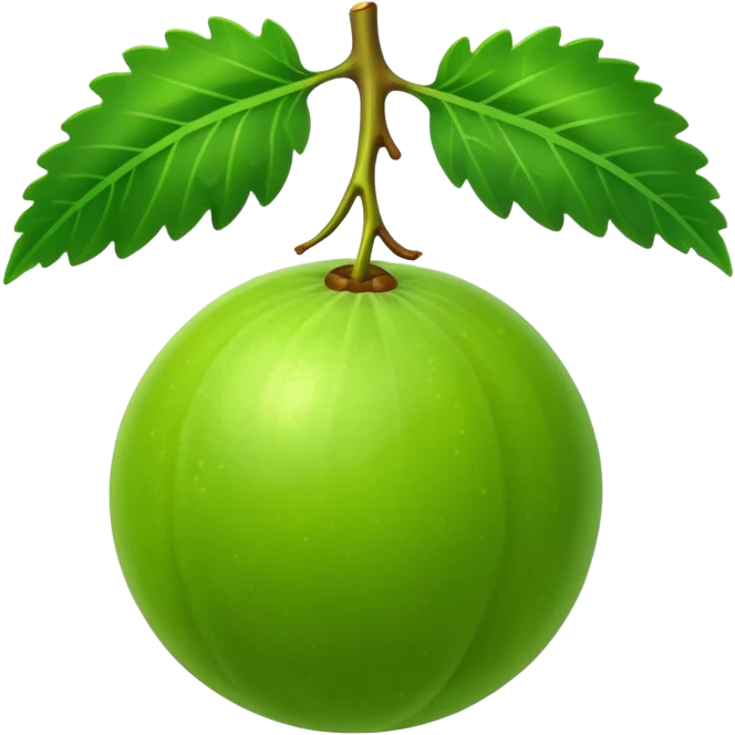 amla fruit with a leaf, bright green, shiny emoji