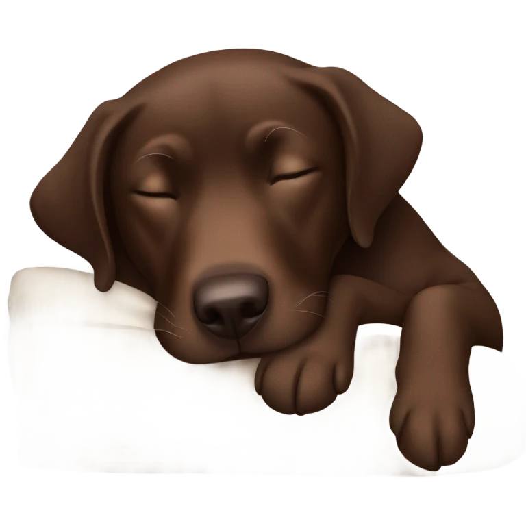 Sleeping chocolate lab emoji