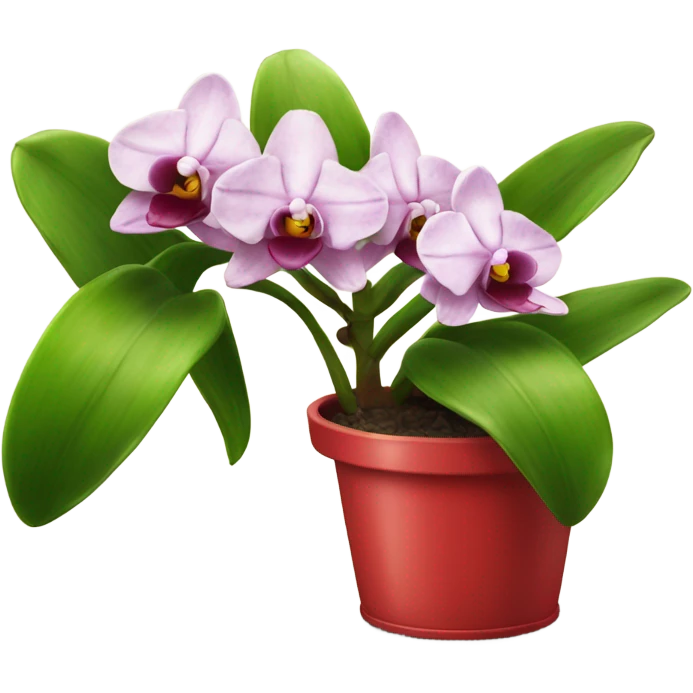 Orchidée rouge en pot emoji