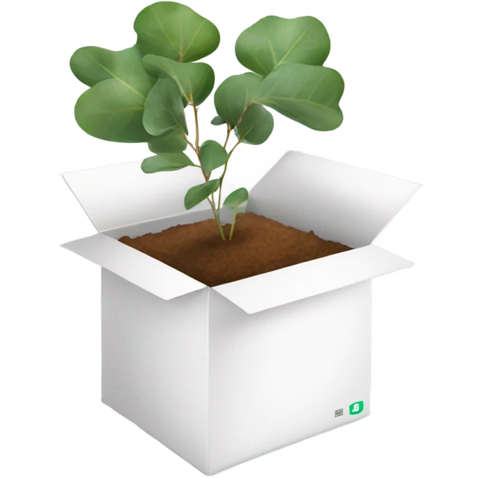 eucalyptus inside white box  emoji