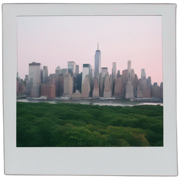 New York in a polaroid frame emoji