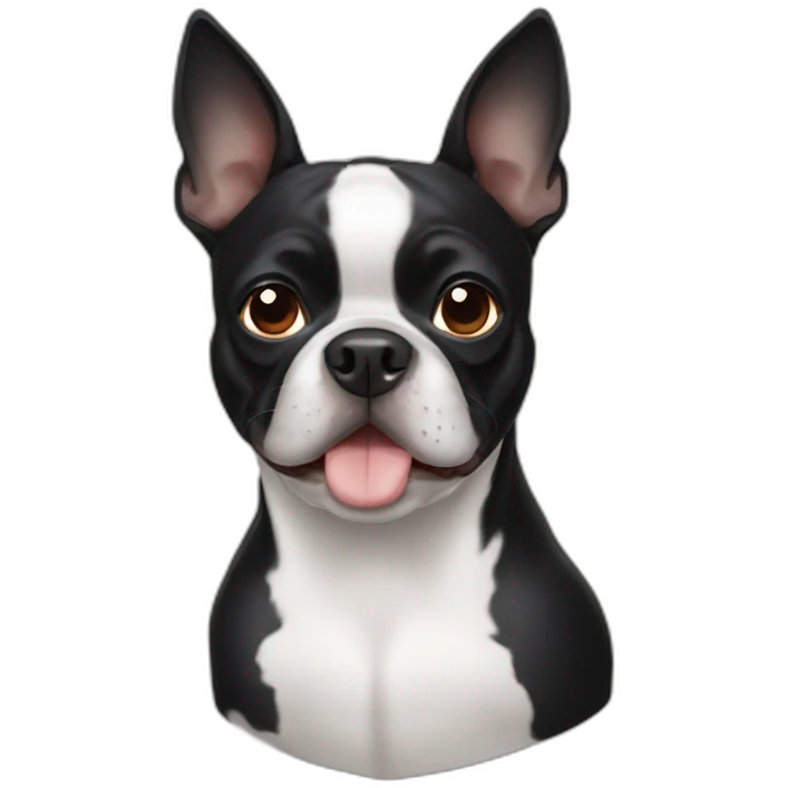 Boston Terrior  emoji