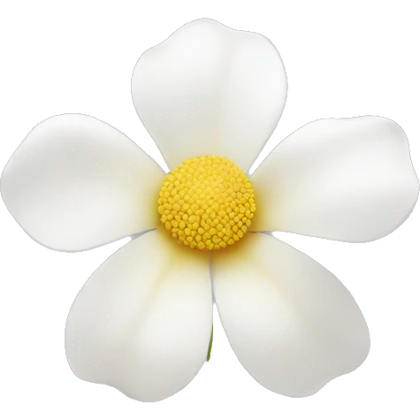 white flower without leafs emoji