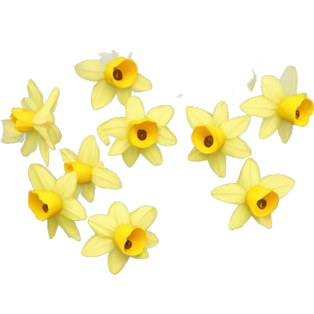 daffodils emoji