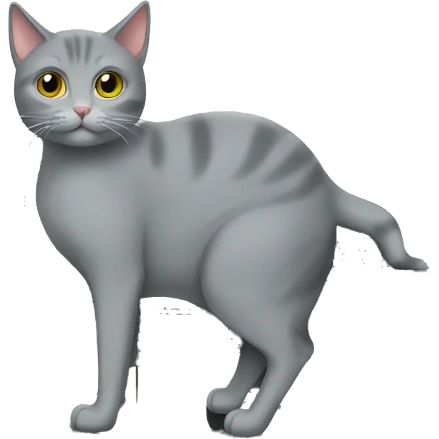 Gray Cat in the piano emoji