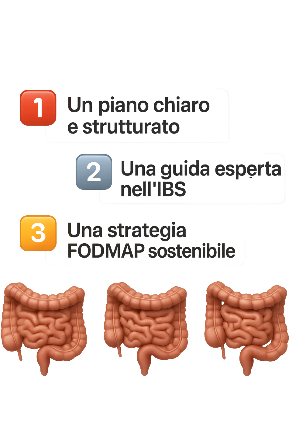 emoji stile iphone di 3 targhette numerate con intestino realistico davanti ad ogni targhetta, le targhette sono:
"1 – Un piano chiaro e strutturato
2 – Una guida esperta nell’IBS
3 – Una strategia FODMAP sostenibile"
, iperrealistico 4k emoji