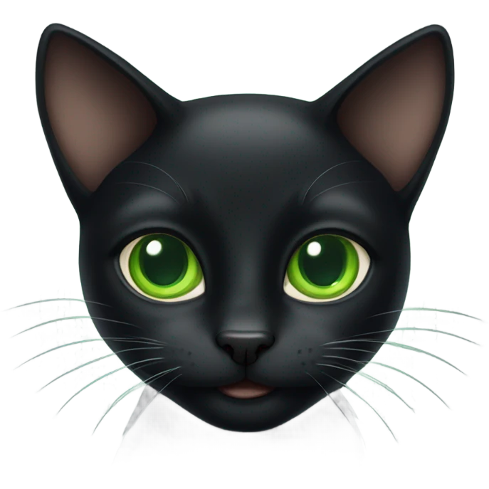 black cat with big green eyes emoji