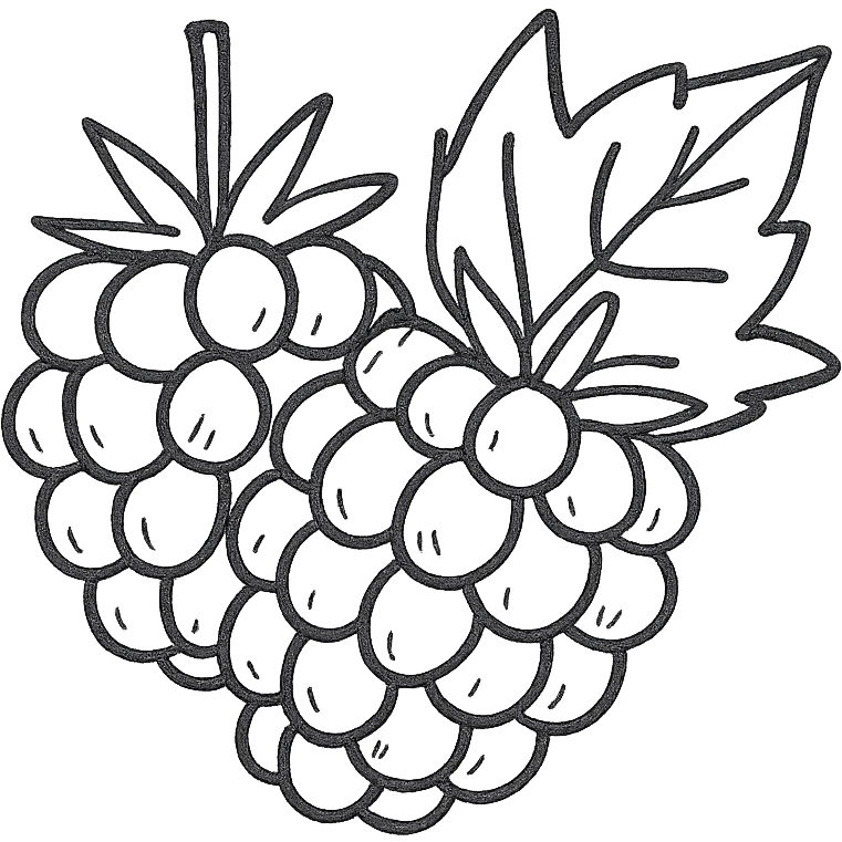 sweet blackberries, hand drawn sketch, detailed emoji