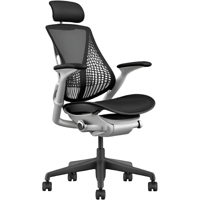 Sayl Herman Miller ergonomic chair  emoji