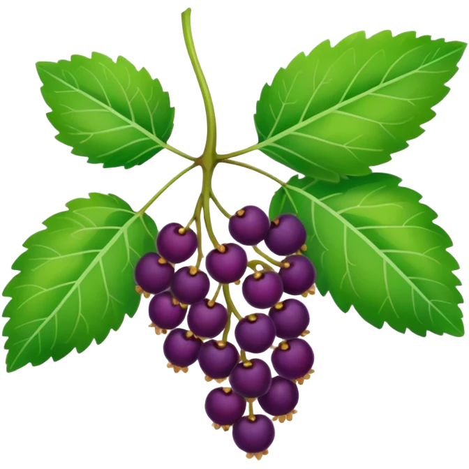 mulberries plant emoji
