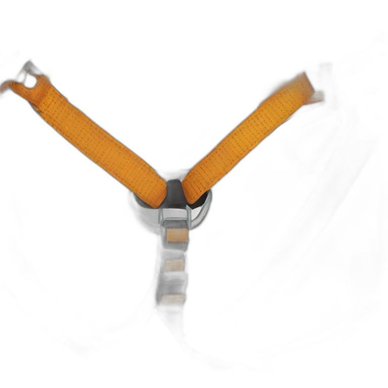 Climbing harness emoji
