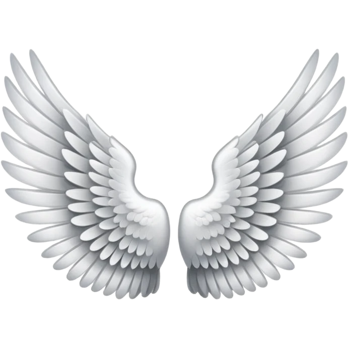 Pair of wings emoji