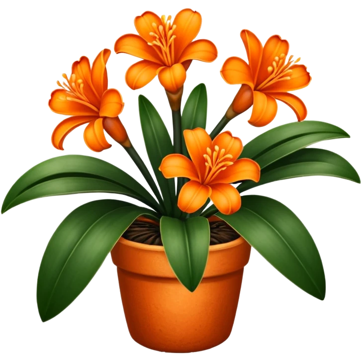 Clivia plant with six petals on the flowers emoji