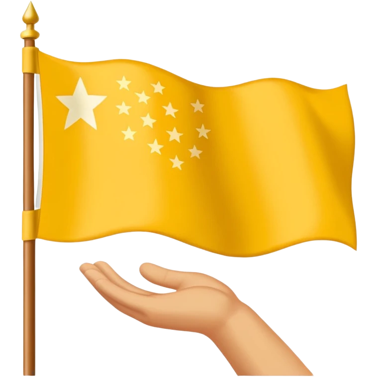 Chinar flag it has 80,000 stars and a hand emoji