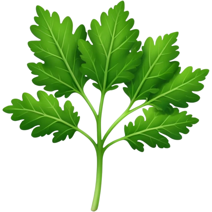 parsley leaf, single, bright green, serrated edges, natural curves, glossy, fine central vein, branching lobes, no stem bunch, no background, soft lighting, emoji scale emoji