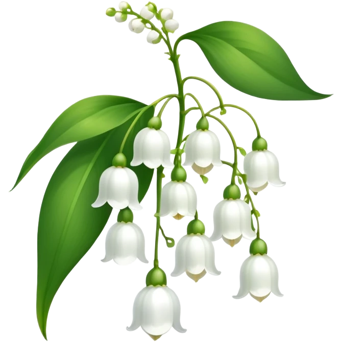 Elegant lily of the valley flower with delicate white bell-shaped blooms hanging from green stem and bright green leaves emoji