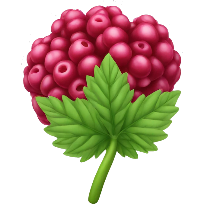 Raspberry emoji