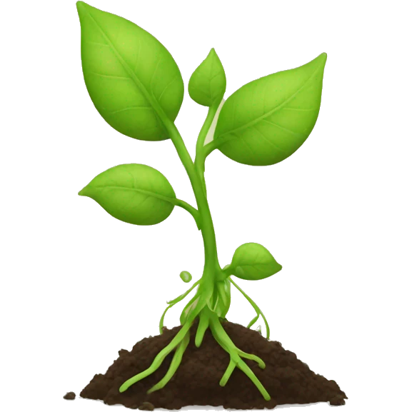 sprouting plant emoji
