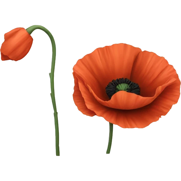 poppy emoji