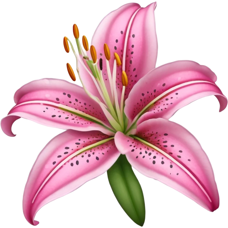 stargazer lily emoji