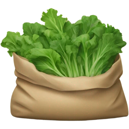 Bag of greens emoji