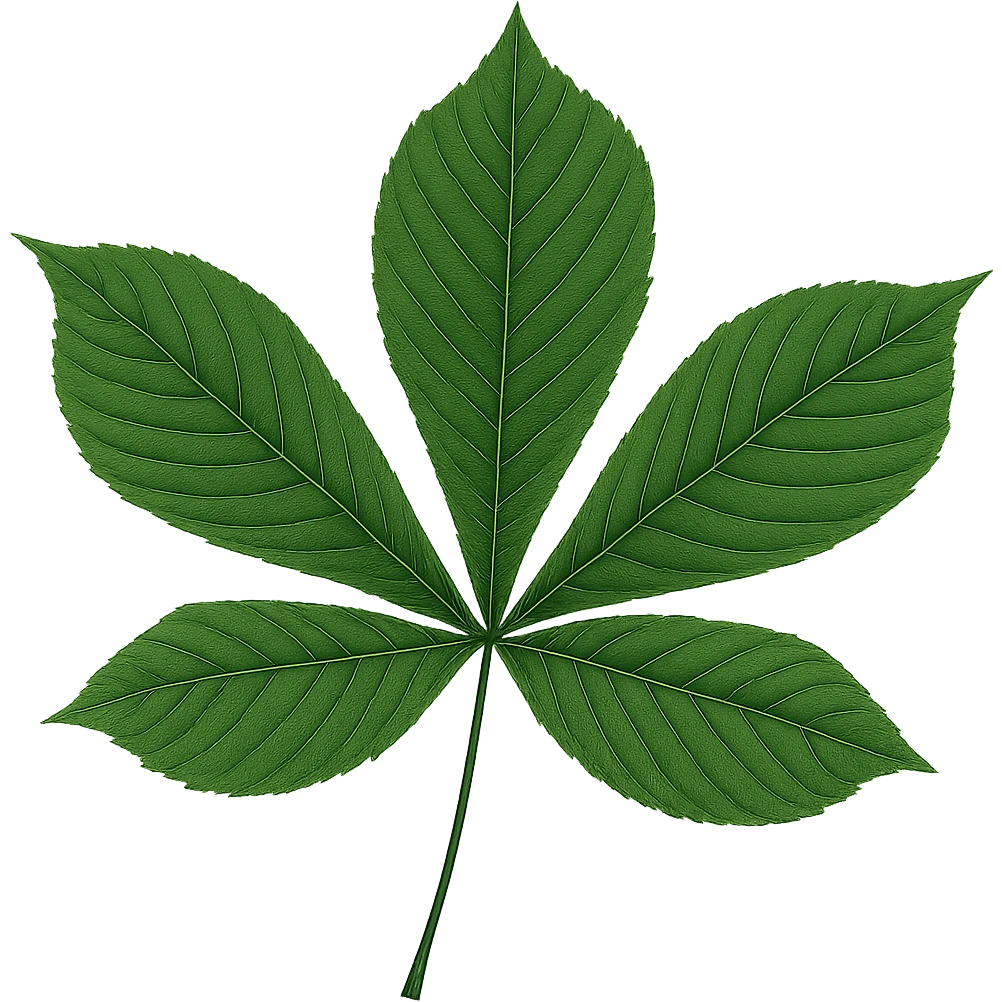 chestnut leaf, green emoji