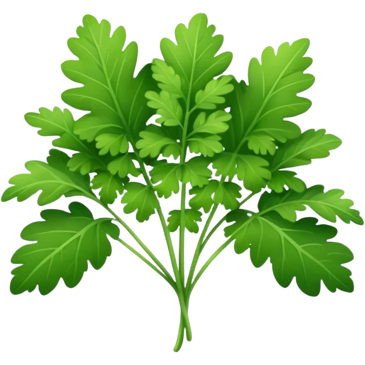 Cilantro emoji