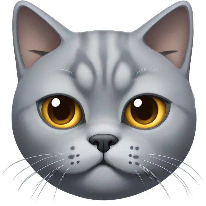 Grey British short hair angry  emoji