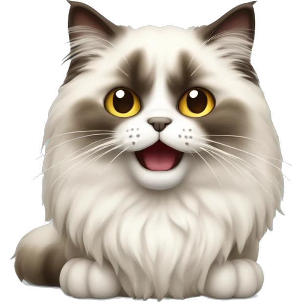 hissing fluffy ragdoll cat emoji