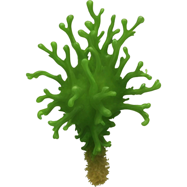 Sea moss on leg emoji