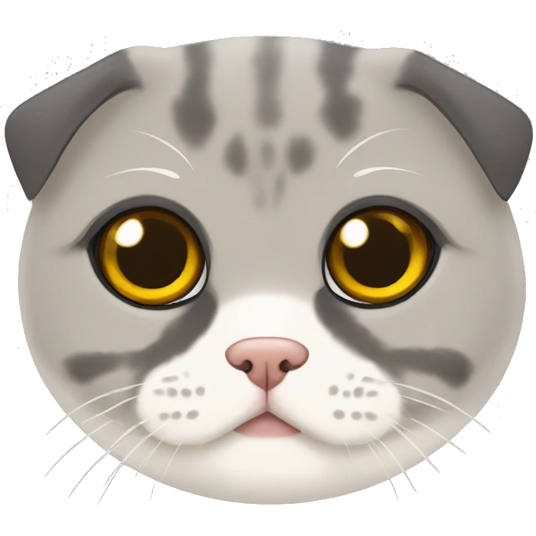 Scottish fold emoji