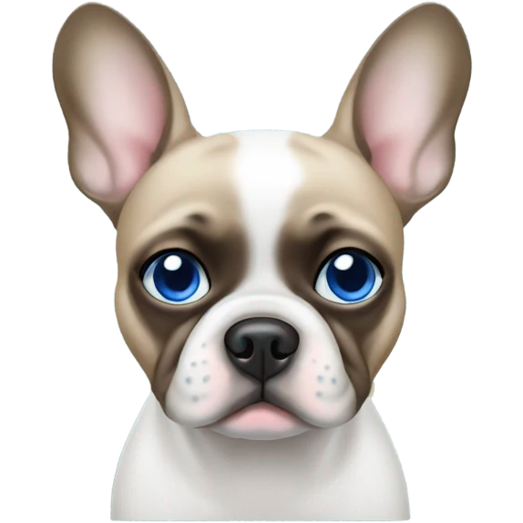 White frenchie left eyes blue right eye blue emoji