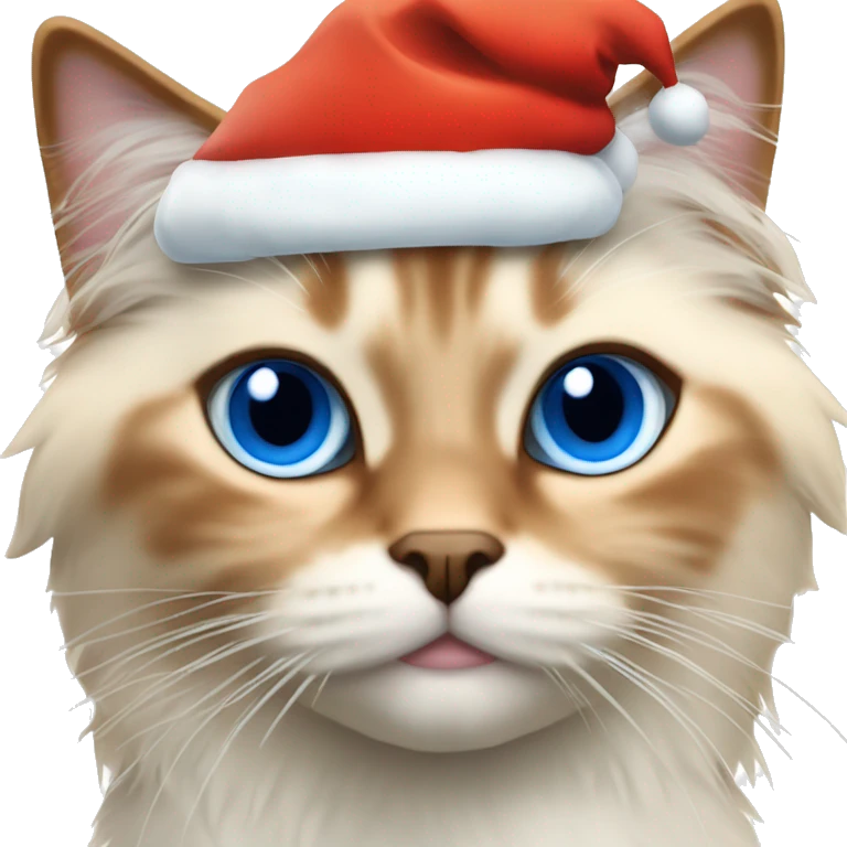 Orange bicolor ragdoll cat with blue eyes wearing a Santa hat  emoji
