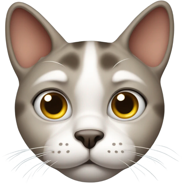 sad cat emoji