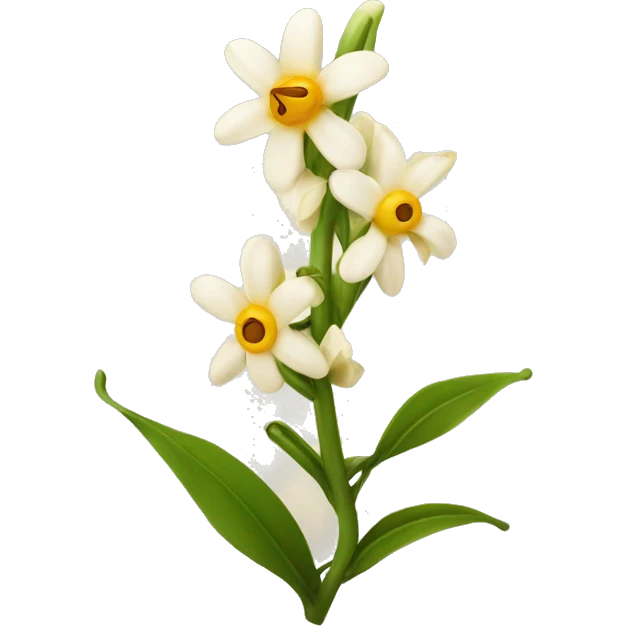 vanilla beans with flower emoji