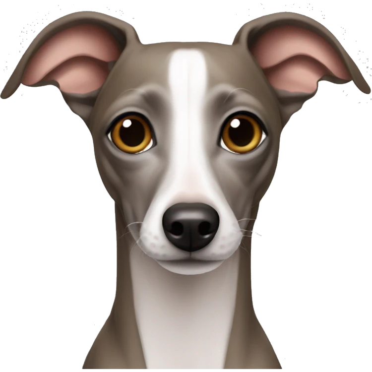 Italian greyhound emoji