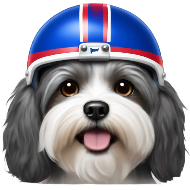 Havanese dog wearing a Buffalo Bills helmet  emoji