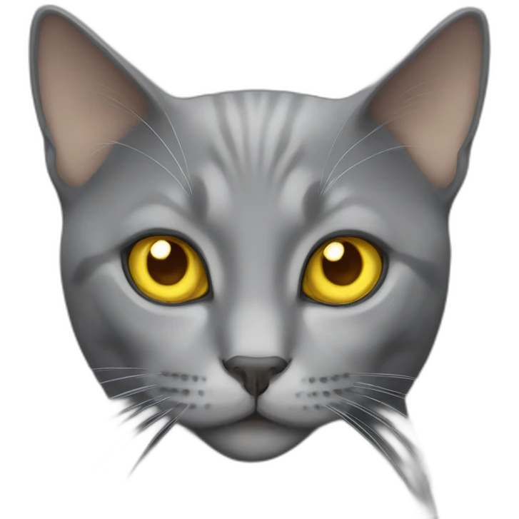 grey cat yellow eyes emoji