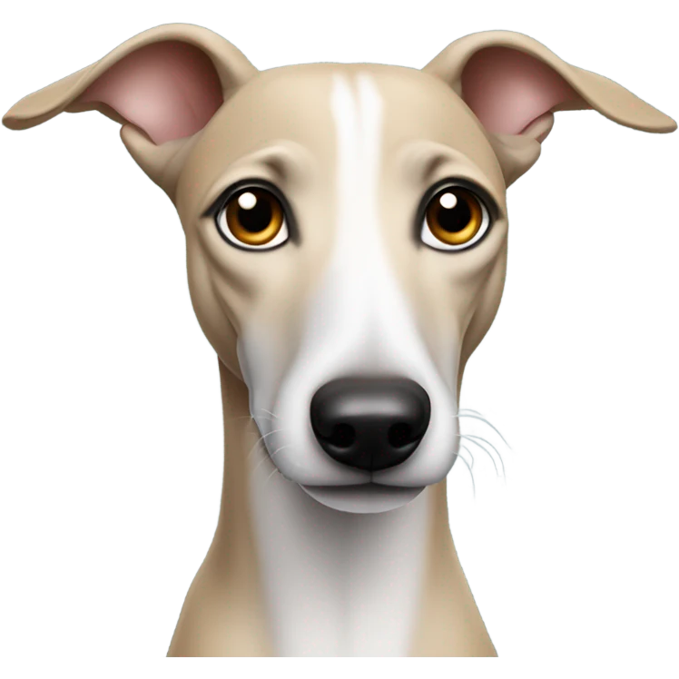 whippet with big wars emoji