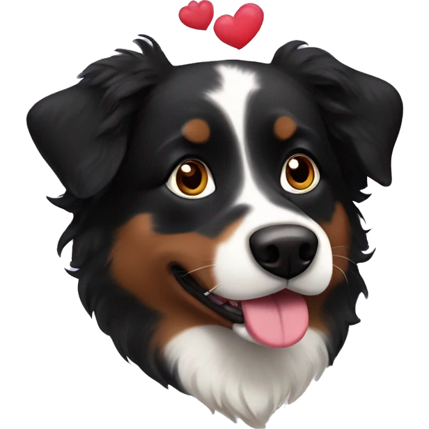 Small black australian shepherd dog with huge maroon heart emoji