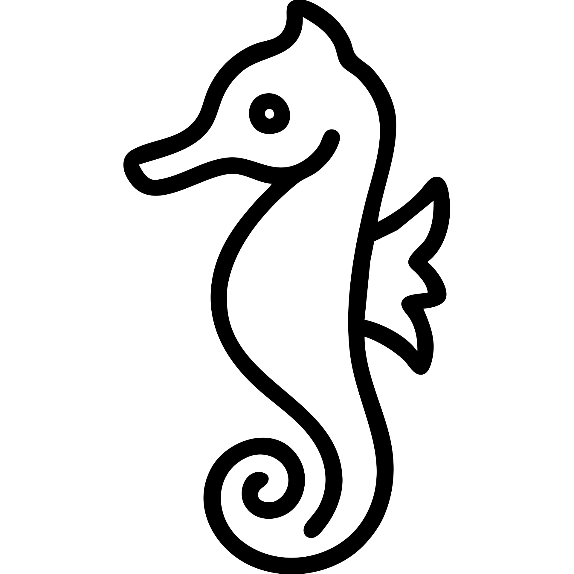 outlined seahorse icon emoji
